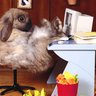 Sergio_San® profil fotoğrafı