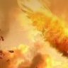 Profilbild von feng