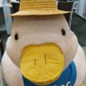 しまふくろう profil fotoğrafı