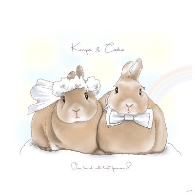 miniusagidoyasa's profile picture