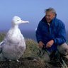 Fae profil fotoğrafı