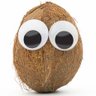 Sean Coconut 🔰's profile picture