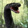 anaconda anaconda's profile picture