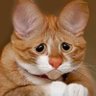 Сергей Туманов ☭'s profile picture