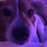 taylor's profile picture