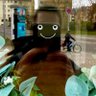 Profilbild von Hicccup