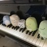 あゆみ先生's profile picture