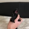 J T profil fotoğrafı