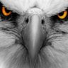 Фото профиля Hawk Hawk