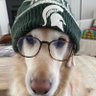 Profilbild von Joey Davidson