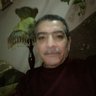 Profilbild von Mamdouhelkiey@jmail.com