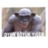 Profilbild von dış güçler