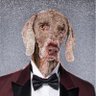 LeonMaster profil fotoğrafı