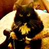 Profilbild von Angry Kiki