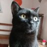 Фото профиля Henry