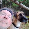 Profilbild von Norman Pilon