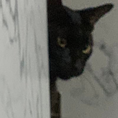 Lalita_1111111's profile picture