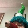 Profilbild von Sam Squiggle