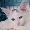 뒤 profil fotoğrafı
