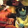 FloydZoot 🇺🇸 的头像