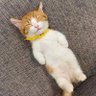 まさ's profile picture