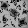 Фото профиля Mr Daniels