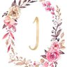 Jackie 💙's profile picture