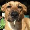 Profilbild von BP