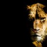 Al Ba's profile picture