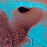 Фото профиля 🇸🇲 PaleBlueDot14 🇸🇲