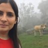 Mariana's profile picture