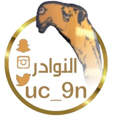 النوادر _ مذكر العتيبي's profile picture