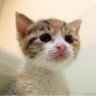 さゆり's profile picture
