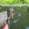 Фото профиля FishMJFish83