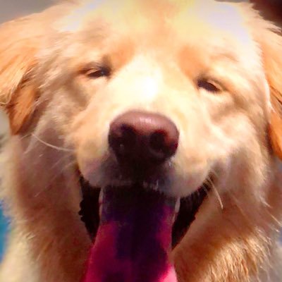 Dipper1114's profile picture
