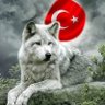 Mustafa ç's profile picture