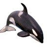 Фото профиля SRbaleia 🐋