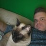 Josh Austin's profile picture