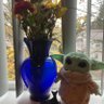 Yoda’sLicoriceTea's profile picture