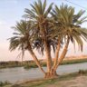 Profilbild von Ali Altamimi