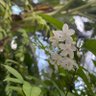 Фото профиля Tenten