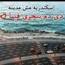 أحمدعلى's profile picture