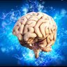 Programmable Psyche 🧠🧬| PsycheOS's profile picture