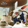 For Cakes Sake 🎂🎂🎂 profil fotoğrafı