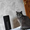 Profilbild von Олена Київська