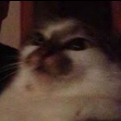 Onsenfouwallah's profile picture