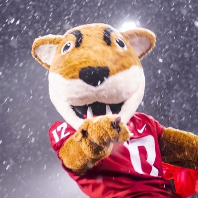 Butch T. Cougar's profile picture