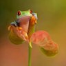 Fred Eilander's profile picture