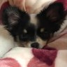 じーこ 的头像