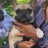 Wendy/Lucyfio's profile picture